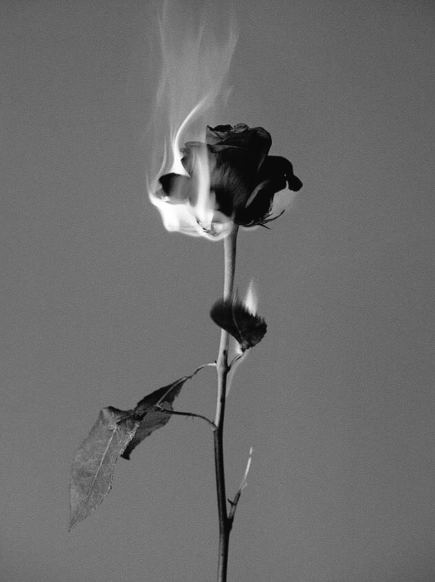 Слезы на увядшем цветке манхва. Увядший цветок. Увядший цветок. Завядший цветок. Лютик завявший.