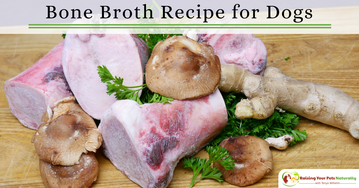dogtrainer4ever's tweet photo. #BoneBroth Recipe for #Dogs https://t.co/a75vRb7hhY #realfoodforpets #bonebrothfordogs #naturaldogs #diydogs #bonebrothrecipe #rawdogs #rawfeddogs @dogtrainer4ever https://t.co/6M5p7Uzivw