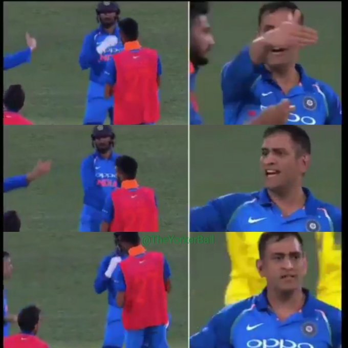 View image on Twitter