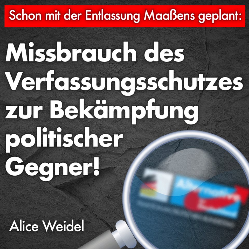 Alice Weidel At Aliceweidel Twitter