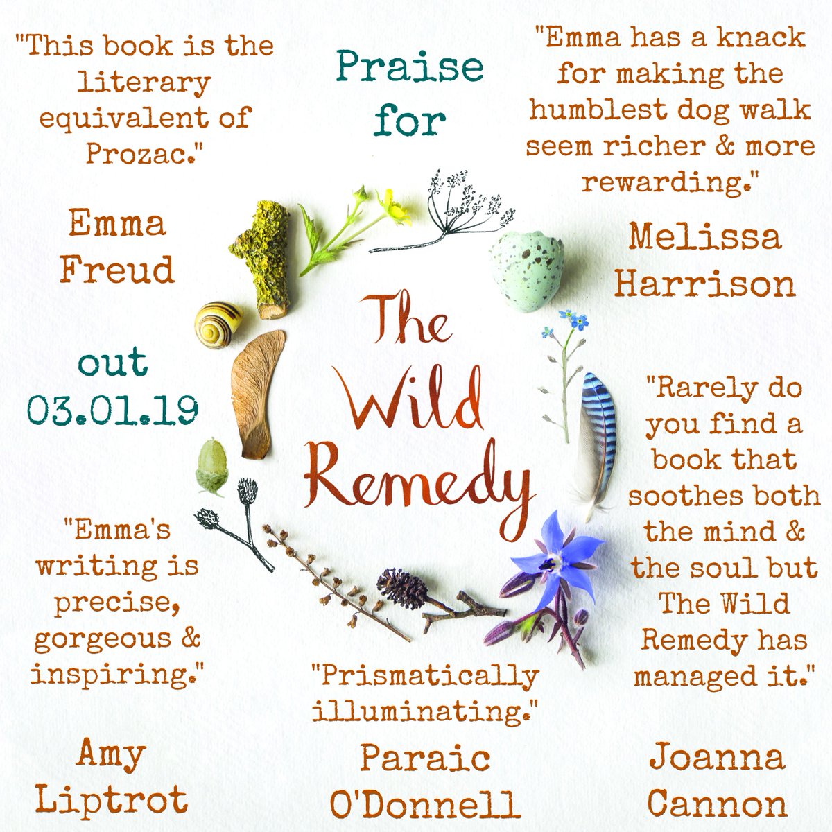 silverpebble's tweet image. There's a lovely book bargain at the moment:

@lialeendertz's best-selling #TheAlmanac,#MakingWInter &amp;amp; #TheWildRemedy for £21.59

Seasonal recipes, folk songs, the beehive &amp;amp; the night sky
How nature walks can lift mood
A creative survival guide for winter

amazon.co.uk/Wild-Remedy-Na…