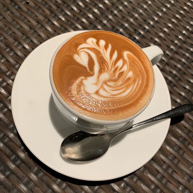 347cafe_lounge's tweet photo. 鋭意練習中！#347cafe #shibuya #cafe #latteart #swan https://t.co/ZY6QEgK8Ts https://t.co/fWchoemmHY