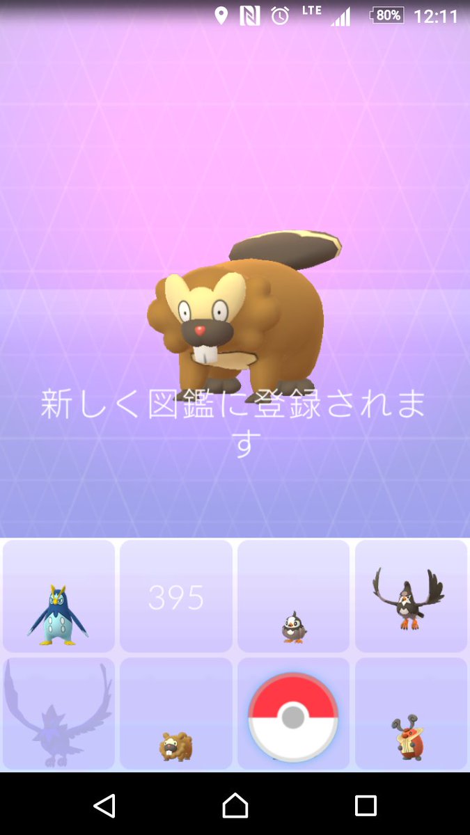 ビーダル Twitter Search