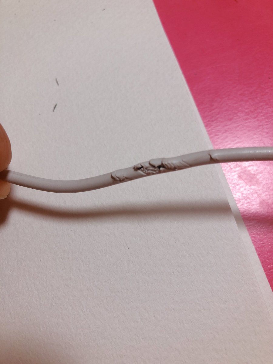 瀬良美夢 Sha In 油断しました うーちゃんにかじられちゃった コードかじっちゃうのは知ってて 遊ぶ時にはクッションで見えないようにしてたんですが 携帯充電中なの忘れてました うさぎ飼ってる方は 対策とかどうしてますか よかったら