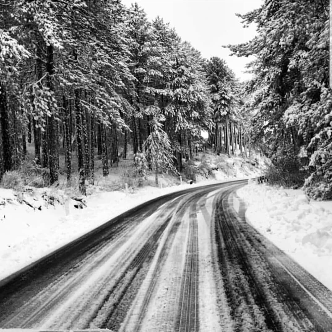 CyWineFest's tweet photo. As Europe has descended into #snow, we forget how beautiful our little island can be outside of summer...🇨🇾🏂🛷❄
#CyWineFest #TravelTuesday #Cyprus #morethanjustbeaches #troodosmountains #skiing #lovecyprus #yearrounddestination #Limassol
@HeartCyprus @visitcyprus https://t.co/W3Mlx5iKQ5