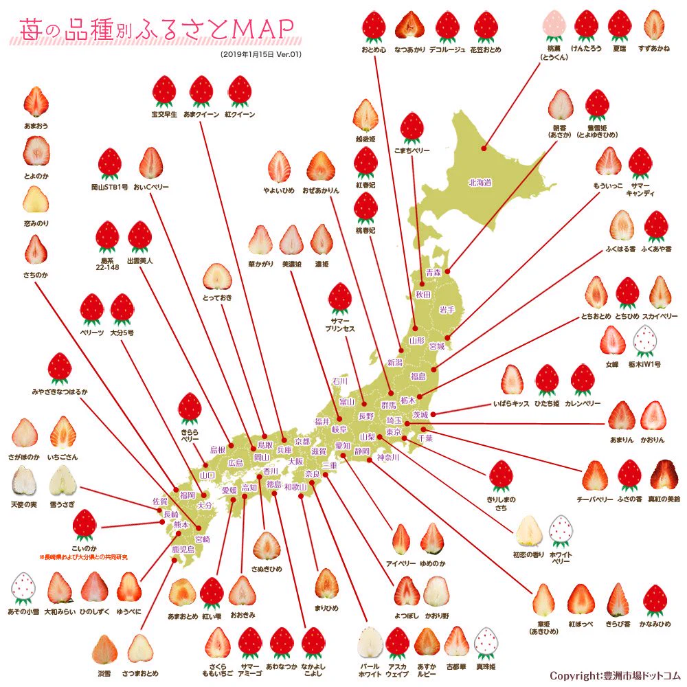 いちごのふるさとマップが公開！！こんなに種類があったんだ！！