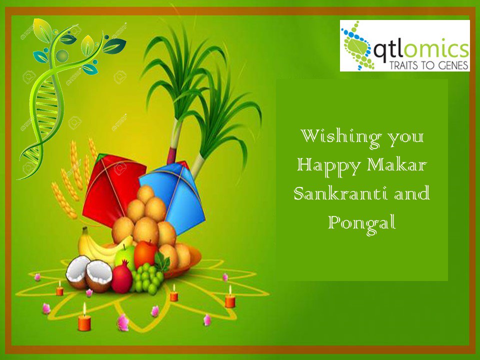 QTLomics's tweet photo. We wish all group members our clients,  collaborators, friends and colleagues Happy Pongal, Sankranti, Bihu, and  Lohri. See you all at the Genomics India 2019 Conference. Checkout: https://t.co/Mr1oMP30Qh https://t.co/rlLuWz6Ban