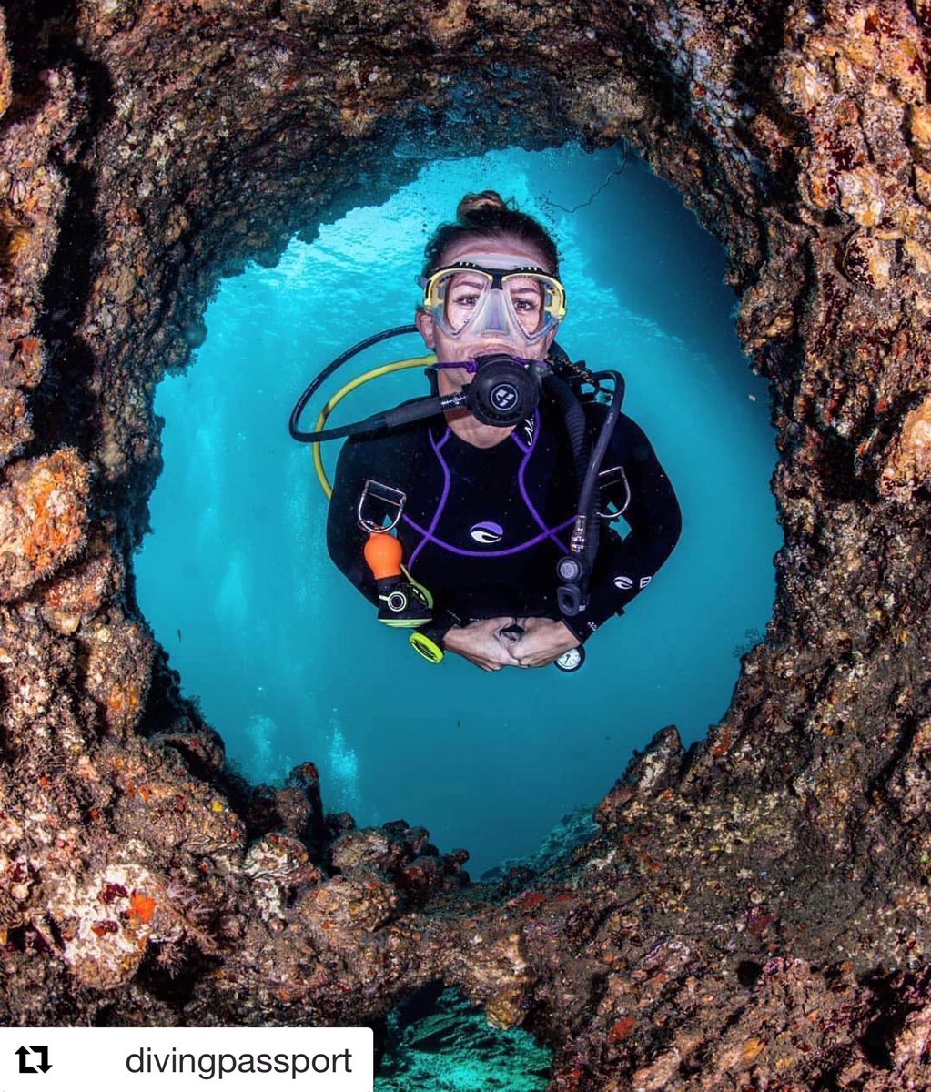 Love this photo! 🤙🏻👌🏻IG's  @DivingPassport @girlsthatscuba 
#padi #mypadi #scuba #diving #scubadiver #girlsthatscuba #scubalove #scubagirl #divelife #mermaid #diver #underwater #ocean #sea #sealife #explore #adventure #shoredive #boatdive #travel #divetravel #openwater #padiwomen