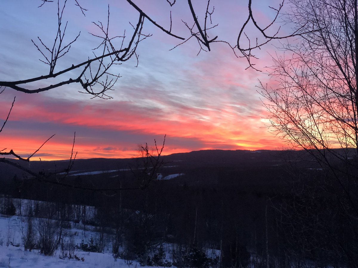 THREE MINUTES BEING IN NATURE, January 15th 2019.
#noticenature #naturemeditation #stillness