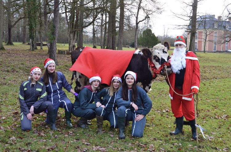 Tnla2019Rob's tweet photo. Voici l’équipe des 6 au complet ! Préparez vous à les rencontrer au salon de l’agriculture ! 🏆🐄
#SkillRob #SIA2019 #TNLA2019 #robillard https://t.co/QMDQ980Xad