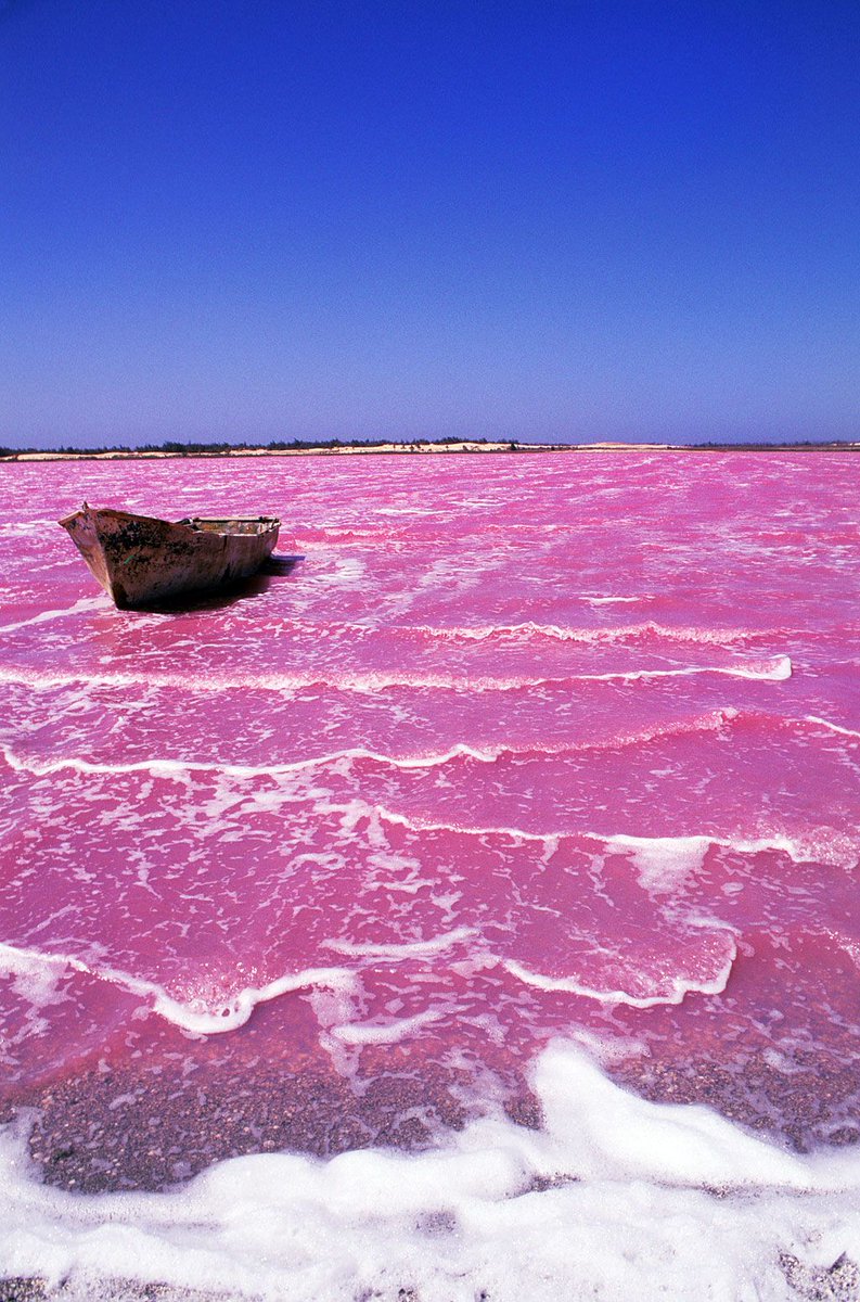 NdouraStou's tweet photo. Nací en un país maravilloso, #Senegal 😍 Y os quiero enseñar algunos rincones que me encantan. Este es el Lago Rosa, que tiene ese color por unas algas que fabrican ese pigmento para captar la luz del sol. ¡Visitad Senegal! 🇸🇳 #LacRose #Retba https://t.co/I5CCwAoj2z