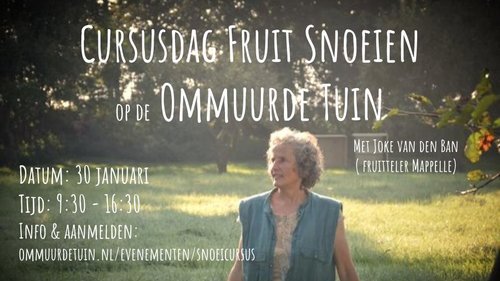 Cursusdag fruit snoeien 30 januari in <a href="/ommuurdetuin/">De Ommuurde Tuin</a>