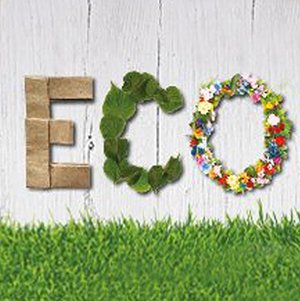 Looking forward to chatting with you about volunteering today at the Eco Hub in the <a href="/DolphinShopping/">Dolphin Shopping</a> Centre in Poole. 1pm to 4pm. Come ask @CultureVols about opportunities in <a href="/PooleMuseum/">Poole Museum</a> <a href="/BoroughofPoole/">Borough of Poole</a> <a href="/ArtsPoole/">Poole Arts Service</a> <a href="/LightUpPoole/">Light Up Poole</a> @PooleLibraries &amp; more! #volunteerfair @Poole_CVS