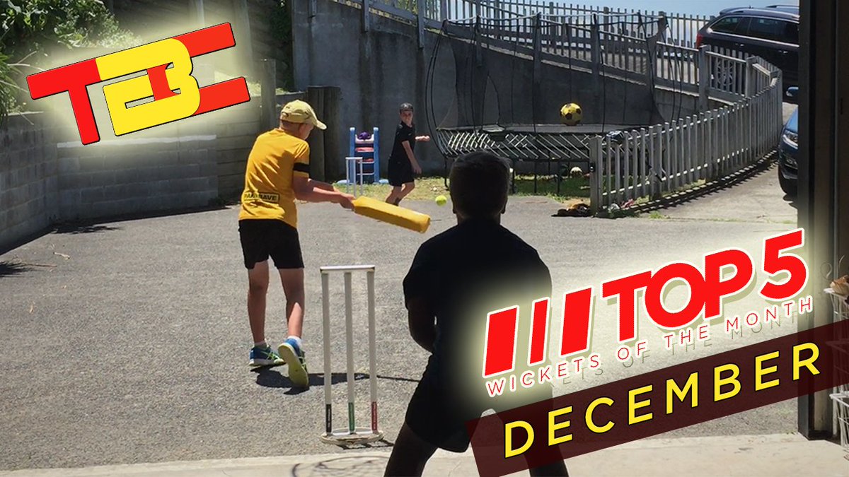 TheBackyardCricketer tweet media