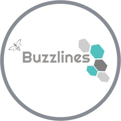 Buzzlines Travel tweet media