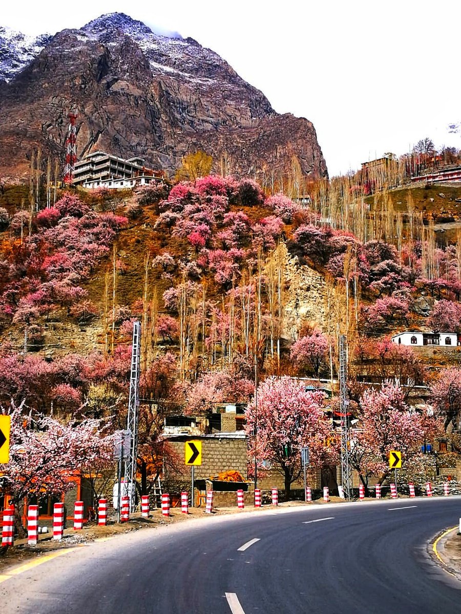 HunzavalleyPk's tweet photo. 2019 Blossoms Coming Soon...
Join us 2019 Trips to Northern Areas of Pakistan.
#hunzavalley #gilgitbaltistan #pakistani #cherry #cherryblossom #trip #traveldestination #travelpackage #Tour2019 #touroperators #worldtravel #worldtrip #Wanderlust #ExploreTheWorld @lonelyplanet https://t.co/RYXEsARvlt