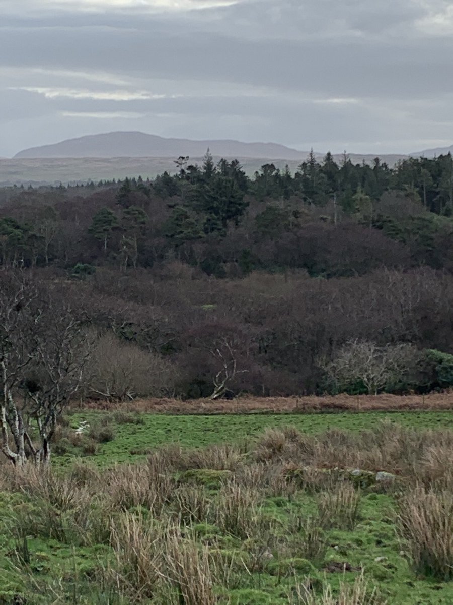 Recommend this new (to us) Islay walk: loop from Bridgend to Loch Skerrols and Knockdon farm then down to Carnain. Nice, changing views of Paps of Jura, Beinn Bheigeir and Loch Indaal before a final stretch through woods and into @IslayAles for isotonic rehydration!