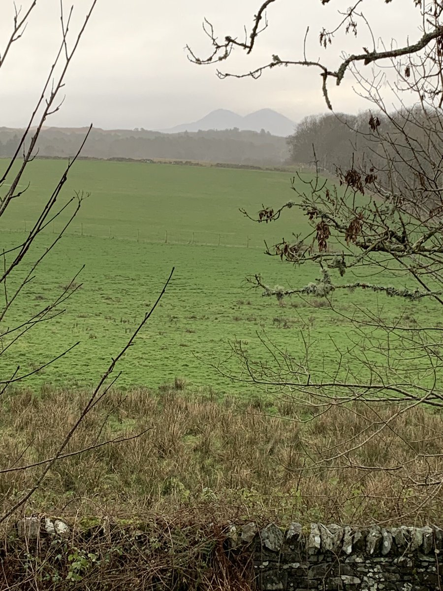 IslayBeachHouse's tweet photo. Recommend this new (to us) Islay walk: loop from Bridgend to Loch Skerrols and Knockdon farm then down to Carnain. Nice, changing views of Paps of Jura, Beinn Bheigeir and Loch Indaal before a final stretch through woods and into @IslayAles for isotonic rehydration! https://t.co/NGM2uirgwl