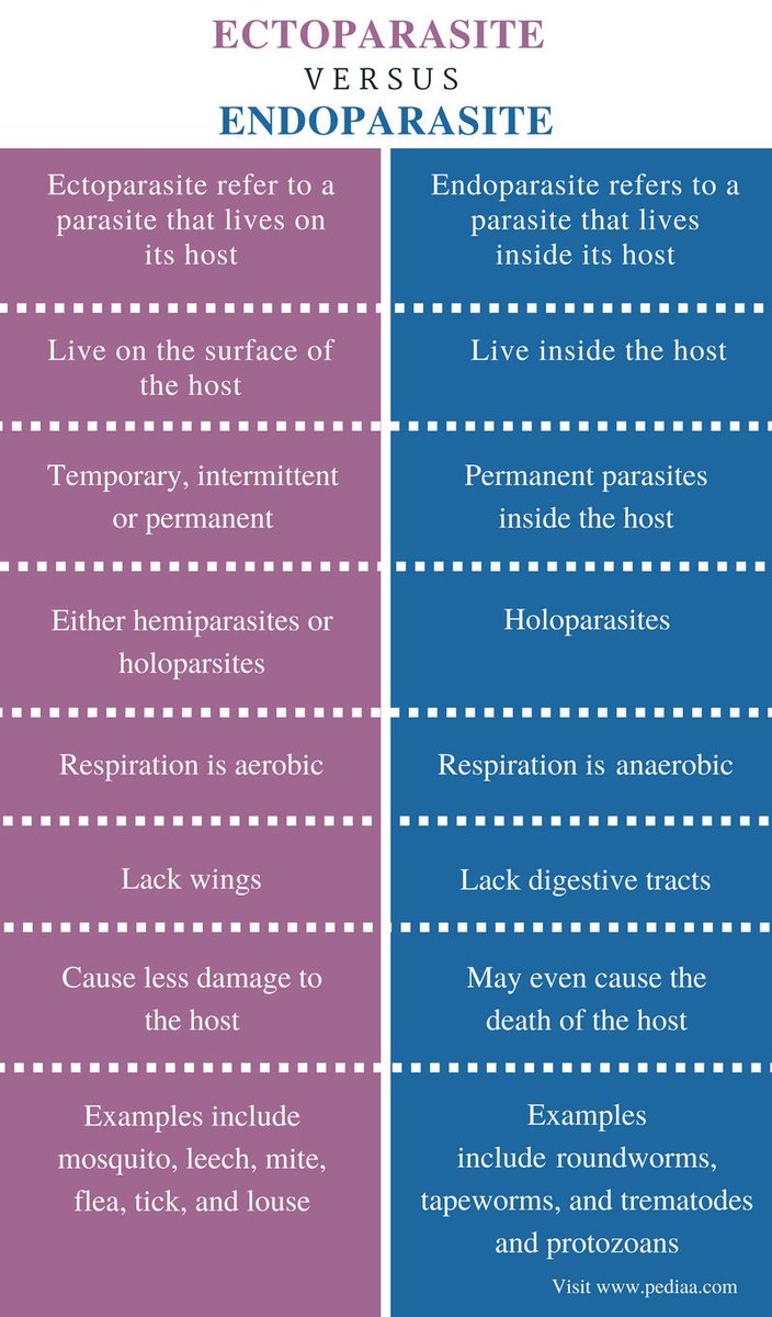 Holoparasites vs hemiparasites Fő különbség - ektoparazita és endoparazita