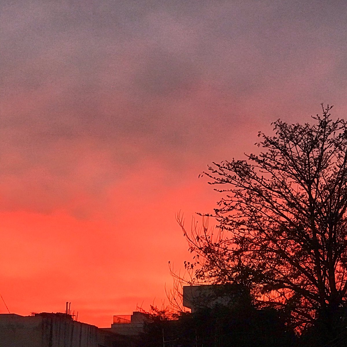 When for a fleeting moment the sky looks like this. #balconywithaview #NewDelhi #Sky