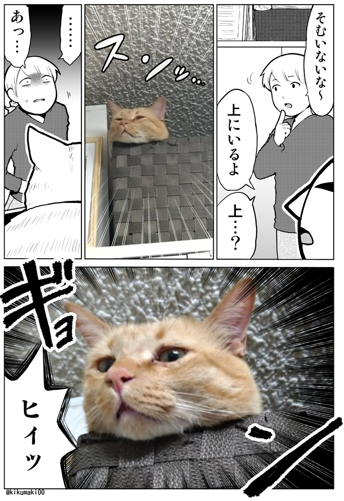 きくまき 見下されてた タレ目猫そむ タレ目猫そむが可愛すぎるんじゃ