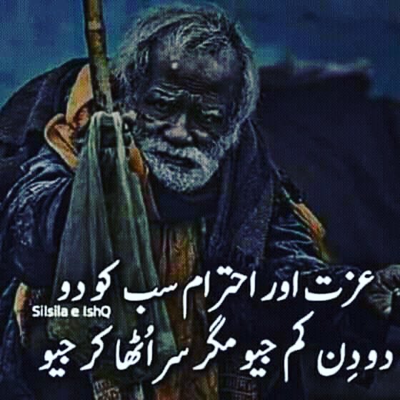 Zulfiqar ali (@zulfiqa49229929) on Twitter photo 