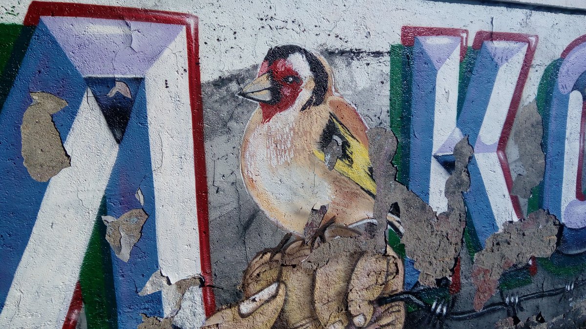 CorredorEcoSur's tweet photo. El dibujo como herramienta de divulgación de las causas ecologistas: pintadas en muros o en pancartas #artivismo https://t.co/BQ335NEbK1