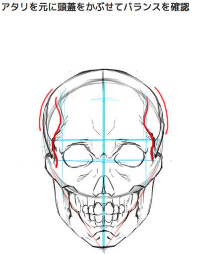 O Xrhsths Forアニメーター Sto Twitter 描き方ポイント 顔編 正面顔 横顔 骨格 筋肉 皮膚を意識し 考えながら描くことが大切です 正面顔では こめかみと目の配置関係を 横顔では旋回軸を意識すると いい絵が描けます いちあっぷより T Co