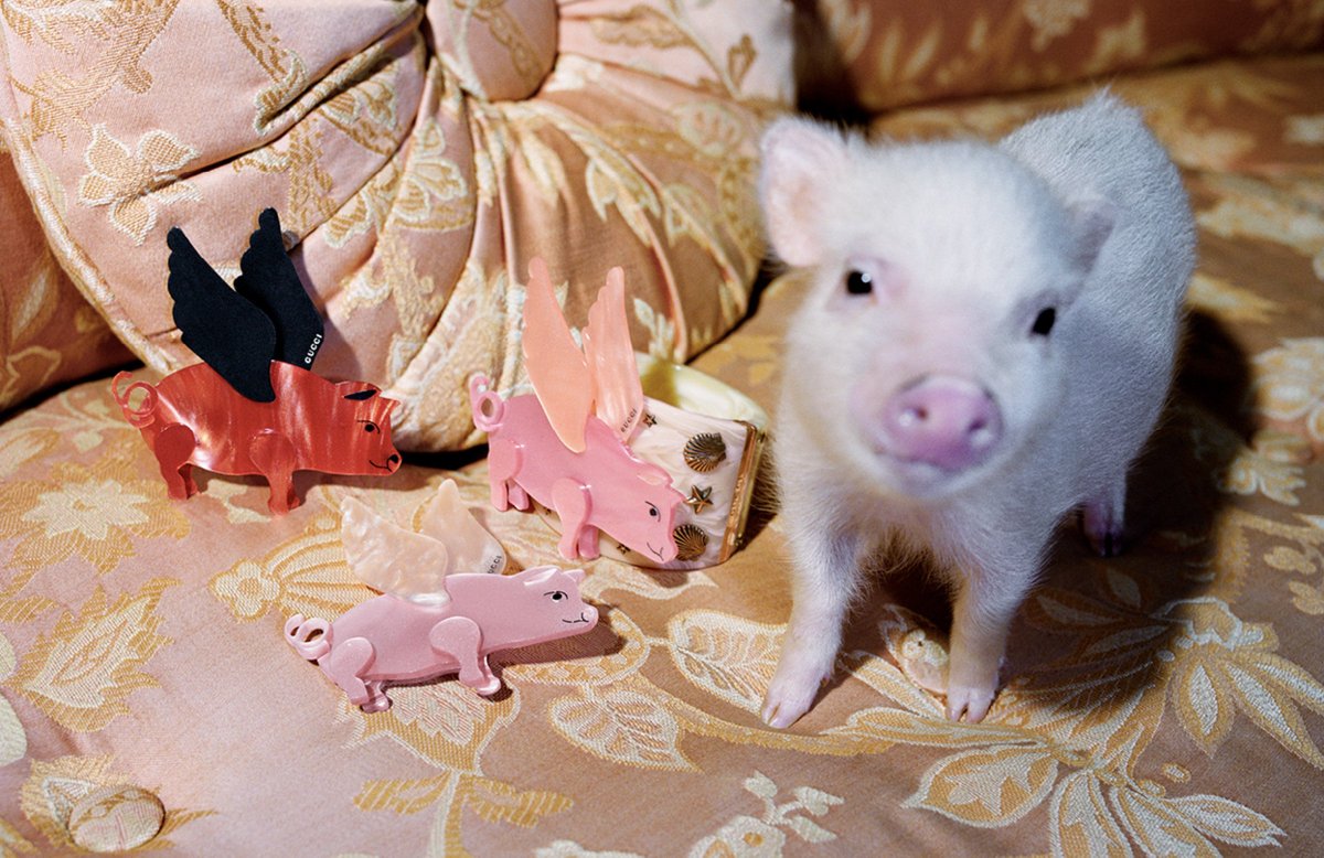 Fashionsnap Com グッチ が新年を祝う子豚モチーフの限定コレクション発売 全35アイテムをラインナップ ディズニー映画 三匹の子ぶた のキャラクターも登場 T Co Vz1nond6j3
