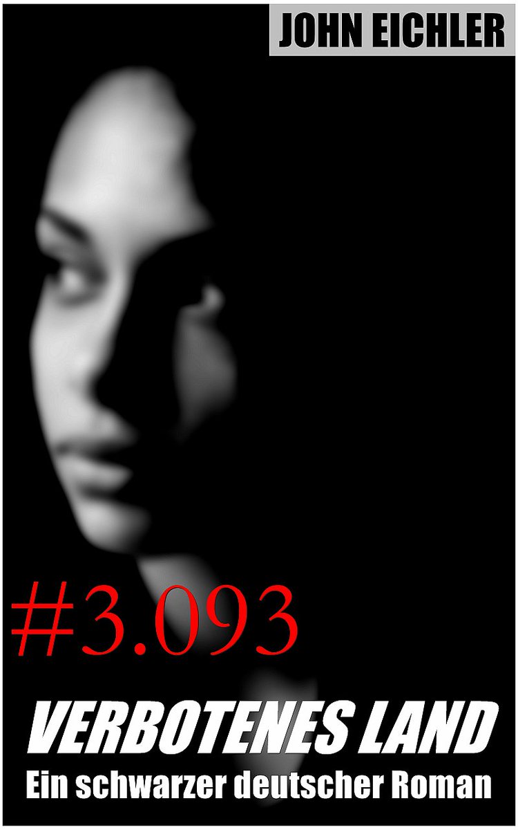 PLS SHARE: Looking for a translator (English native speaker). Without any advertisement, more than 200 copies of the German (!) version of «Verbotenes Land» (Forbidden Land, A Black German novel) have been sold in the #US and #Canada. Guess it’s time... verbotenesland.de/blog/sinobe/