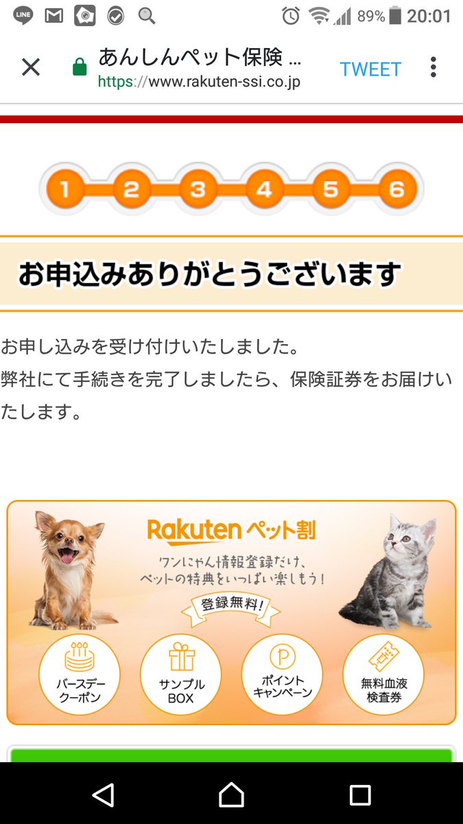 楽天ペット保険 楽天ペット保険