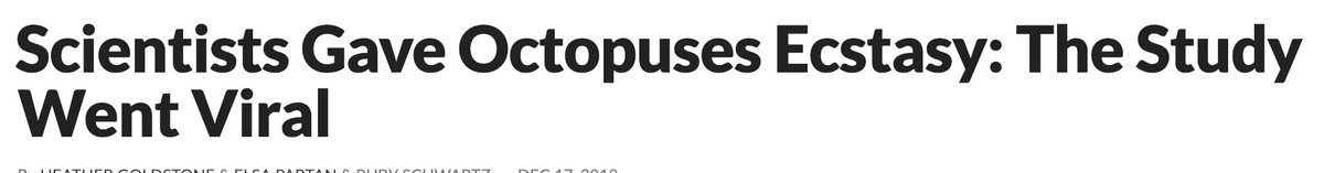 Accidental Partridge tweet media