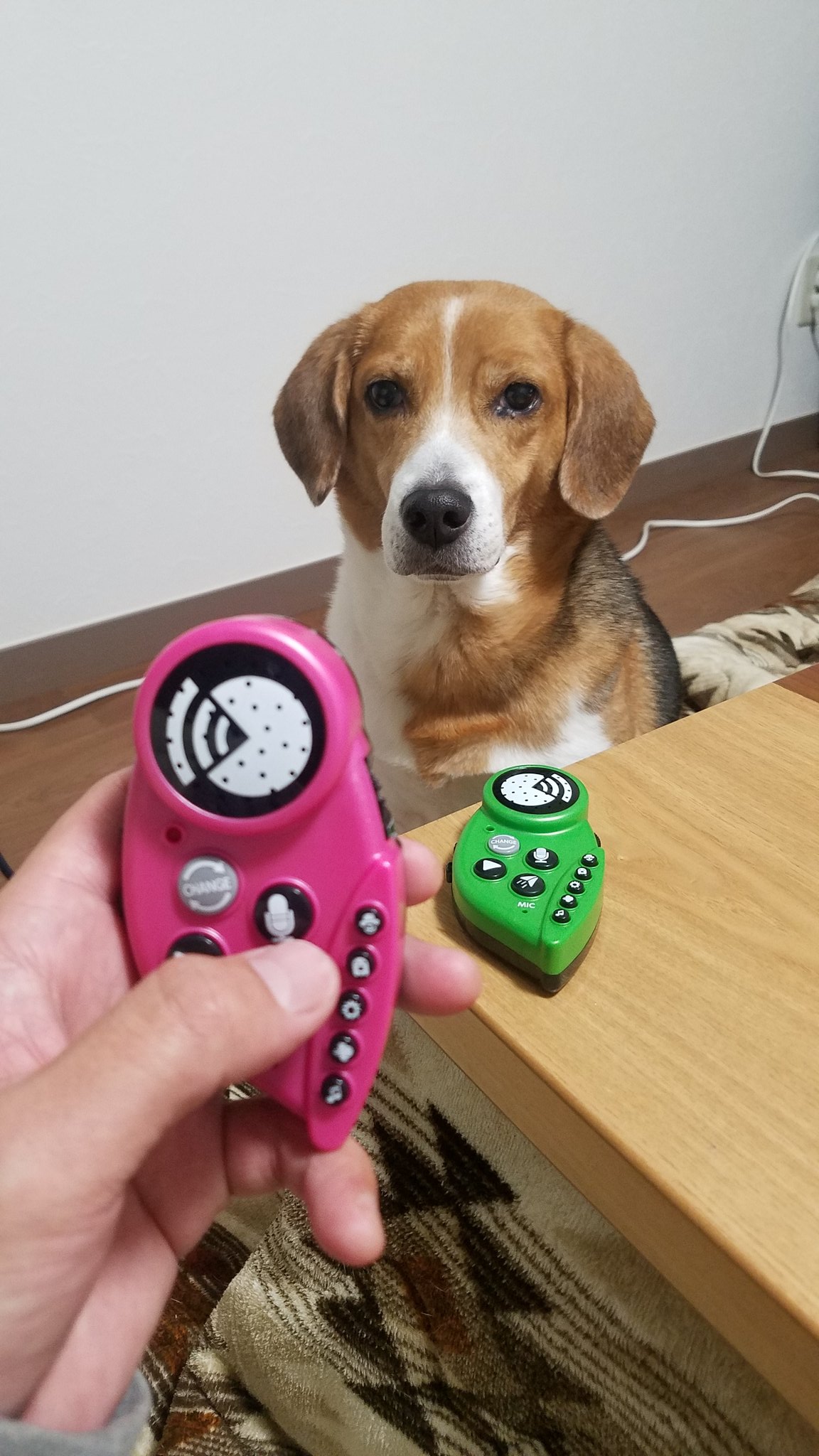 Anzen漫才 みやぞん うちにもしゃべクル来た ラブは興味津々 あらぽんと楽屋でやってみますわ Anzen漫才 みやぞん うちにもしゃべクル来た ラブは興味津々 あらぽんと楽屋でやってみますわ