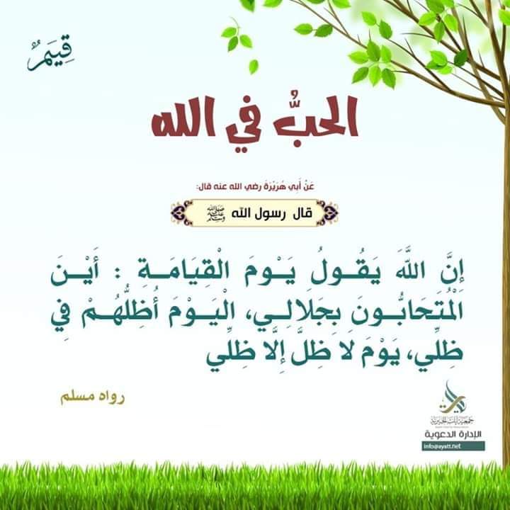 Ahmad80212071 tweet picture