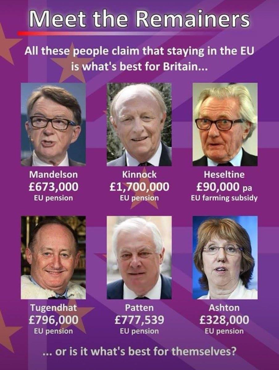 The truth is ALL the prominent Remaniac talking-heads interviewed on the media have significant financial interests staying in the EU or have long taken a salary or funding from the EU #BrexitVote #CollegeGreen #Independence #NoDealNoProblem