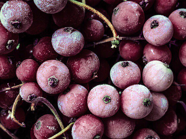 Proanthocyanidins which are in darkly coloured fruits &amp; berries have been shown to increase the beneficial bacteria Akkermansia &amp; it's this bacteria which acts like a weapon helping to fight chronic inflammatory diseases - #nutrition #healthyeating #health clikhe.re/urgtr