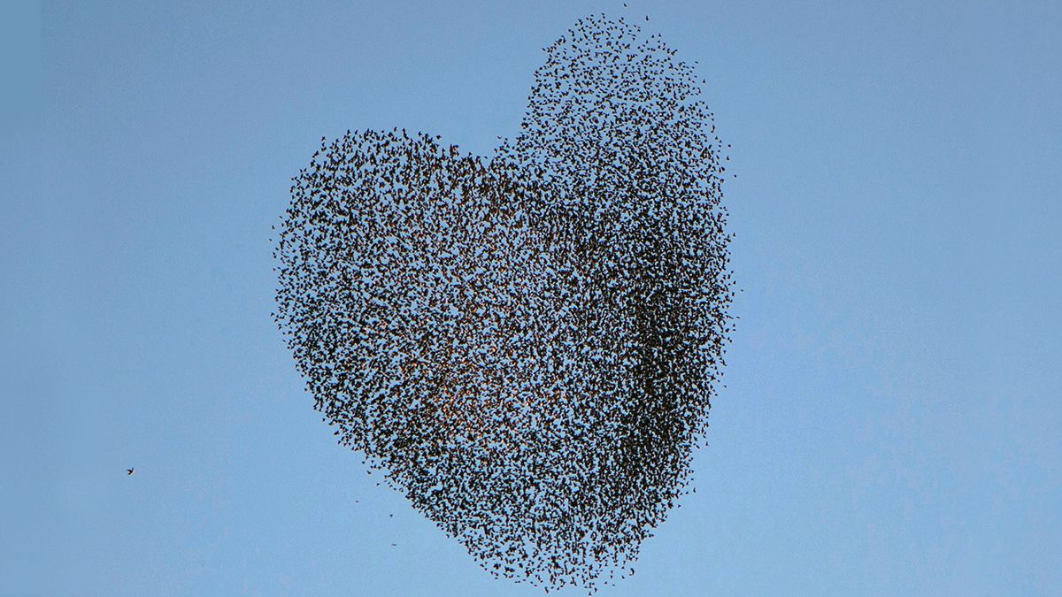 The Secret to Leading Organizational Change Is Empathy buff.ly/2UX9aPu #leiderschap #bevlogenheid #verandermanagement