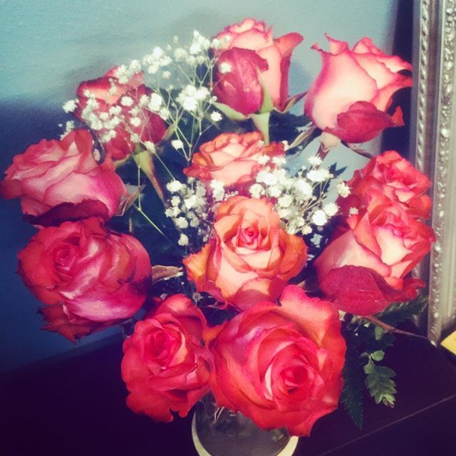 Emily Ann Westerholt tweet media