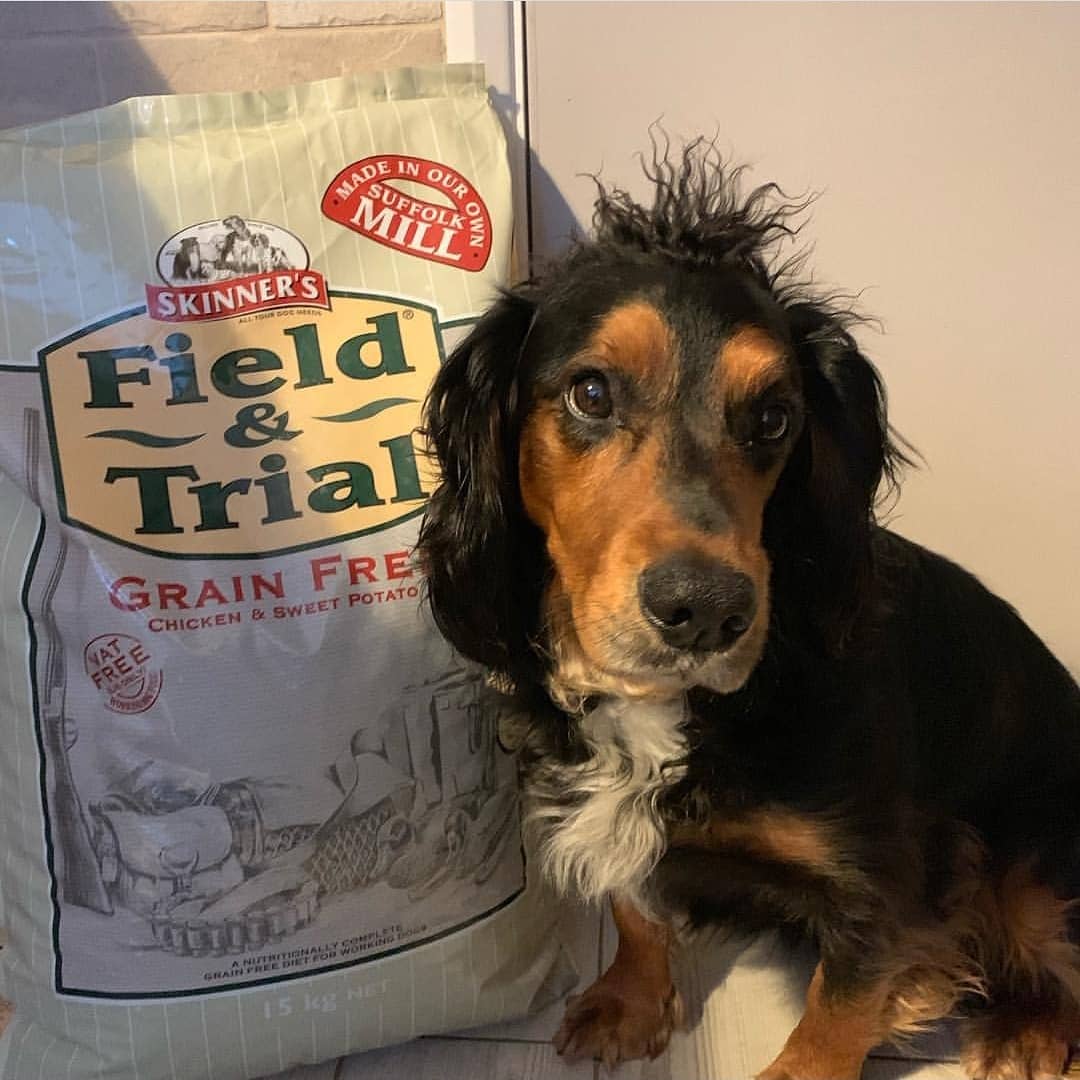 Skinner's Pet Foods on Twitter "We've got a tryouttuesday today from