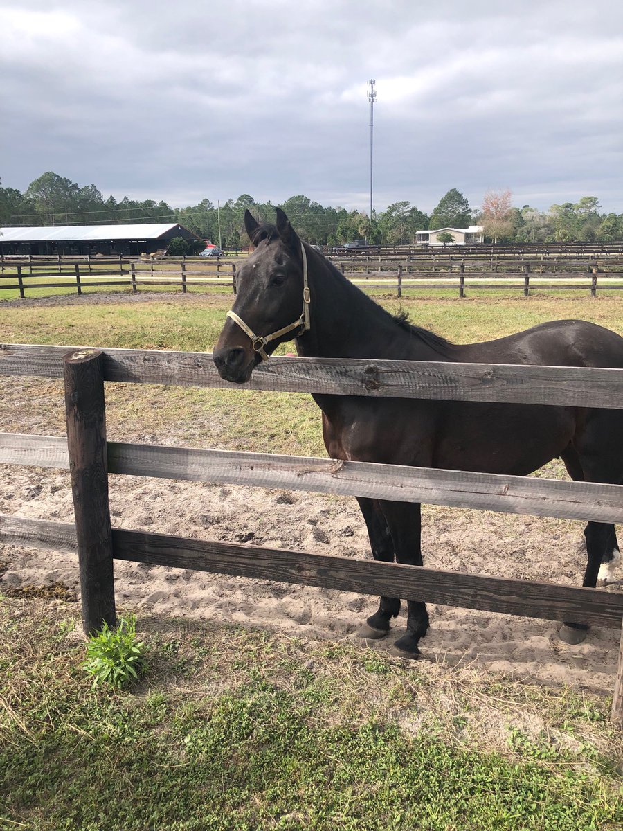 RonBurkeRacing's tweet photo. Retirement!#foiledagainforever https://t.co/bBYdbbAfdW
