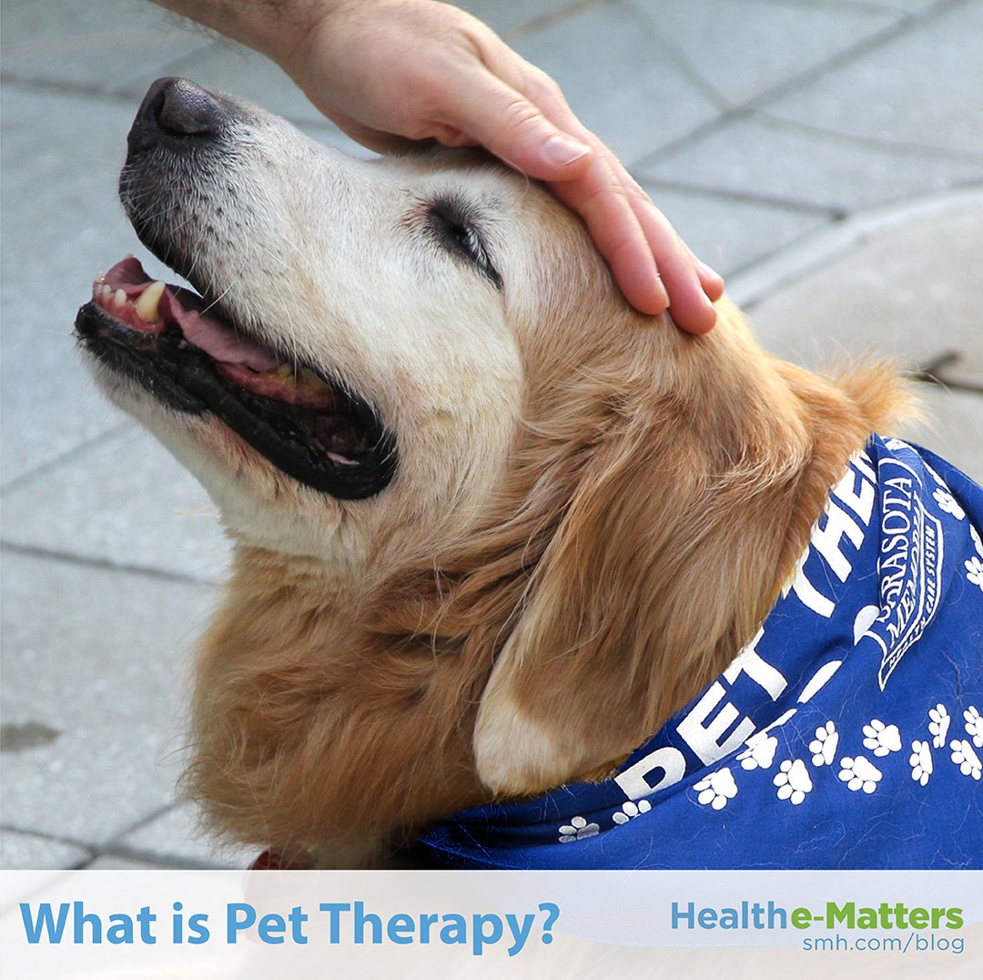 🐶🐱🐴 Spending time with animals boosts overall health & supports healing in ways medicine cannot. Find out what #PetTherapy is & how it benefits recovery, rehab & wellness in this #smhHealtheMatters post ➡️ bit.ly/2RO59Ox  #smhRehab #CareBeyondTreatment #HealingSpaces
