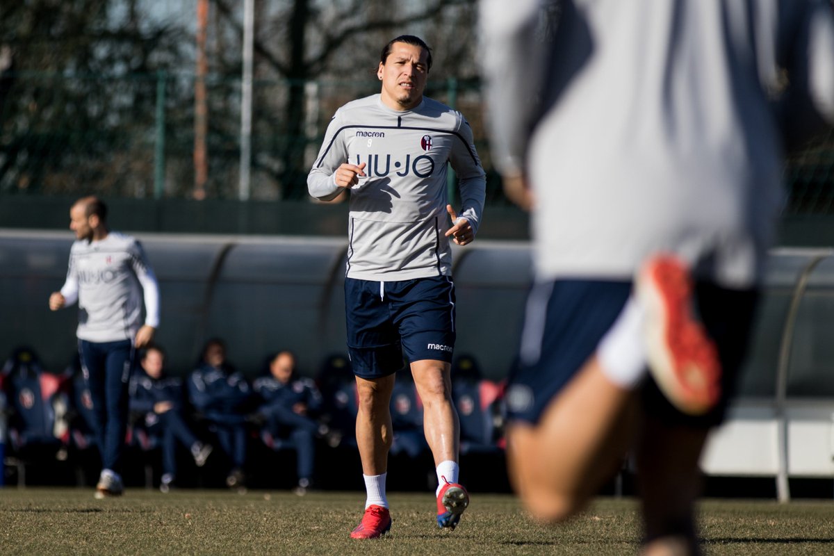 Ripresa degli allenamenti in vista di #SpalBologna πͺβ½οΈ
π° https://bit.ly/2ALK4uqΒ
#WeAreOne π΄π΅