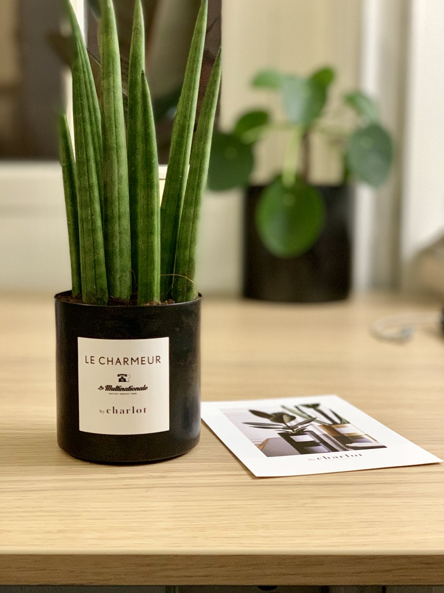 Un peu d'originalité pour vos #cadeaux de fin d'année ✨