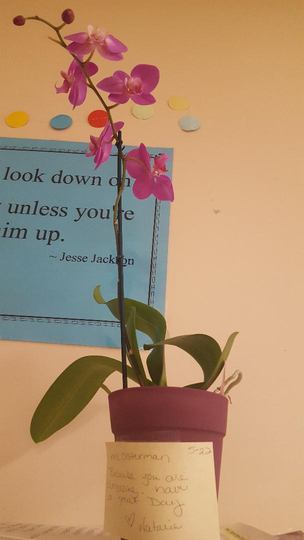 My Squad is celebrating me this week. I work with amazing people that bring so much joy and support into my life. I'm one lucky person! Here's to all the amazing people I've worked with over the last 36 years! I am what I am because of you❤️