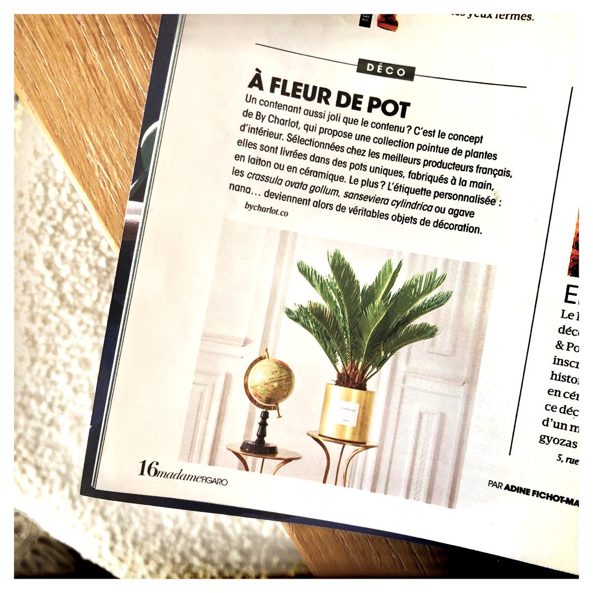 Très fiers d'être dans <a href="/Madamefigaro/">Madame Figaro</a> 🌟 
#afleurdepot #deco