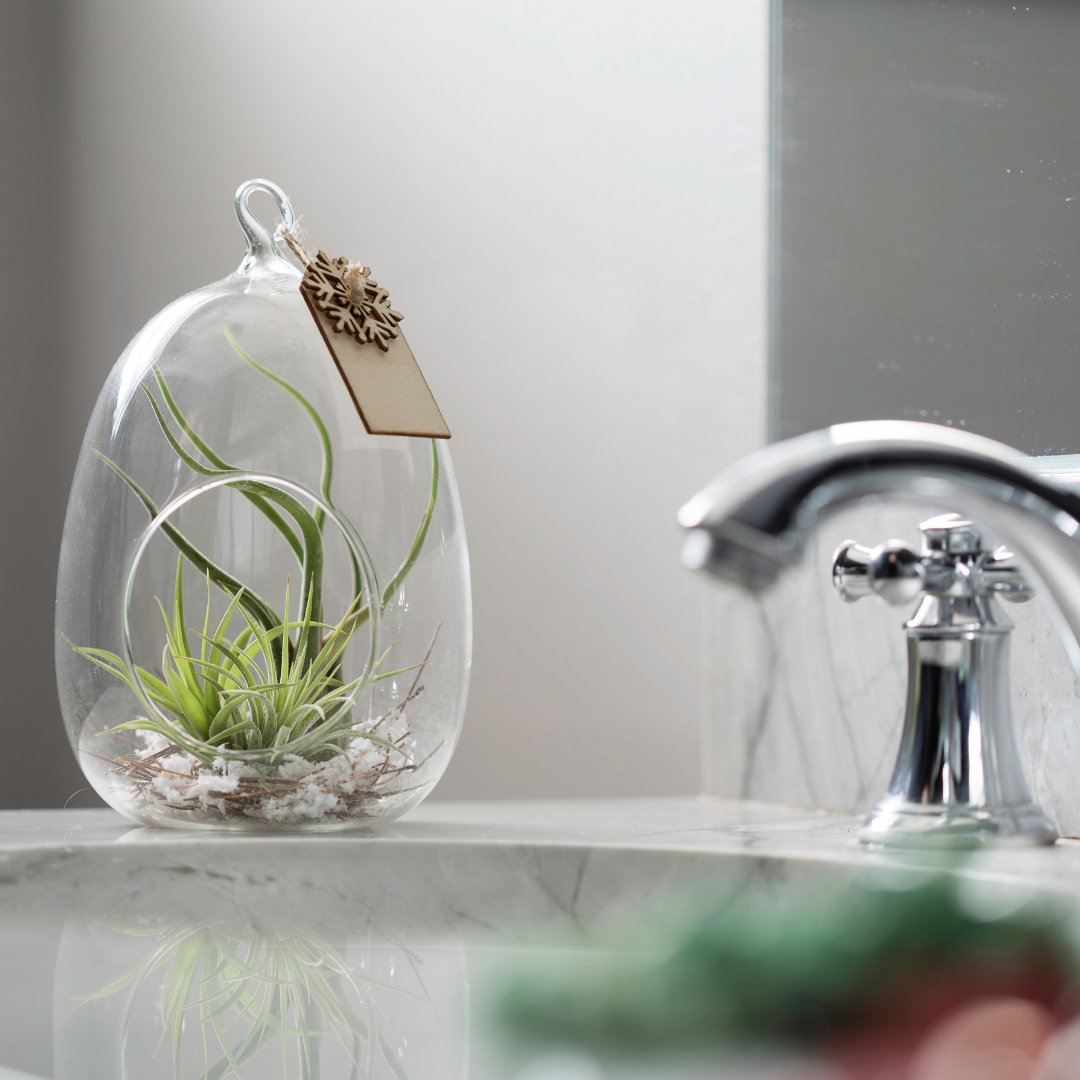 LiveTrends Design tweet media