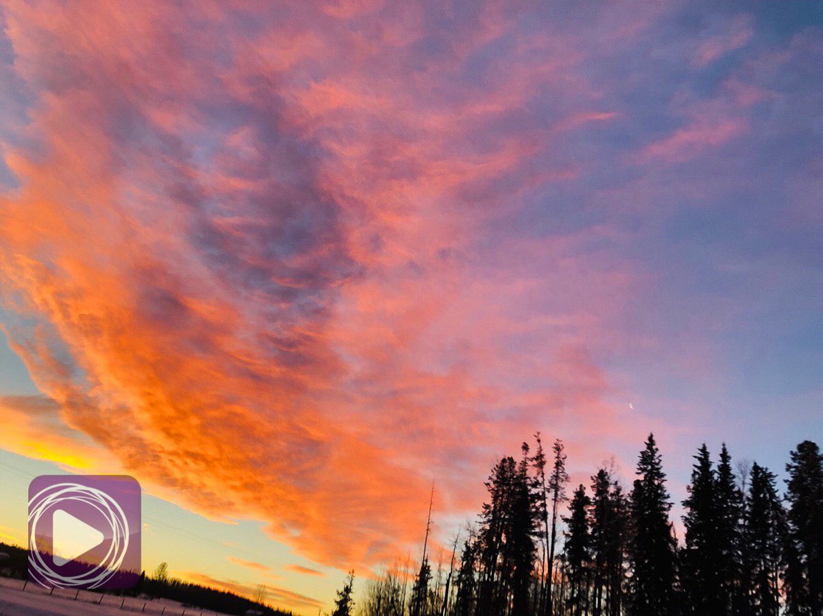 EBCDigitalNest's tweet photo. Beautiful sunrise colours in Edson, Alberta. 📸: Mirel Roman ✨💫#EBCCanadaBureau #SunriseBeauty #EBCPhotography #EBCDN #EBCDigitalNest #Wanderlust #NET25 #1With25 https://t.co/rfCWaFgDJZ