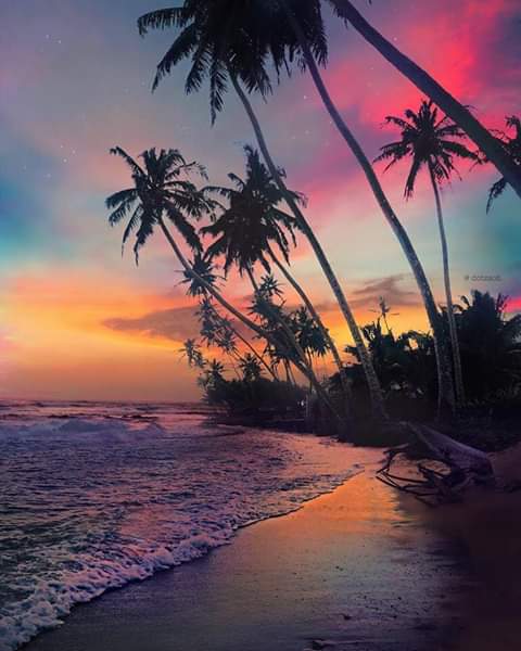 IzabelleCova's tweet photo. #happpytuesday 🌸🌴

#felizmartes 🍑🌈 https://t.co/s1IBylzfFQ