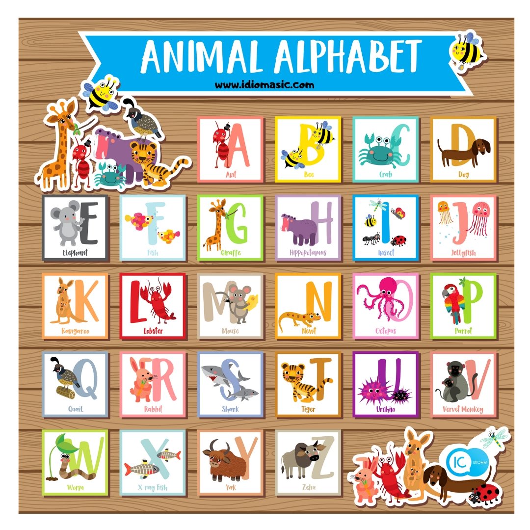 IC_idiomas's tweet photo. ANIMAL ALPHABET 

🐜 Ant
🐝 Bee
🦀 Crab
🐕 Dog
🐘 Elephant
🐟 Fish
🦒 Giraffe
🦛 Hippopotamus
🦟 Insect
🦑 Jellyfish
🦘 Kangaroo
🦞 Lobster
🐭 Mouse
🦎 Newt
🐙 Octopus
🦜 Parrot
🦆 Quail
🐇 Rabbit
🦈 Shark
🐯 Tiger
🦔 Urchin
🐛 Worm
❌🐠🐡 X-ray Fish
🐃 Yak
🐮 Zebu https://t.co/KepggcATbG