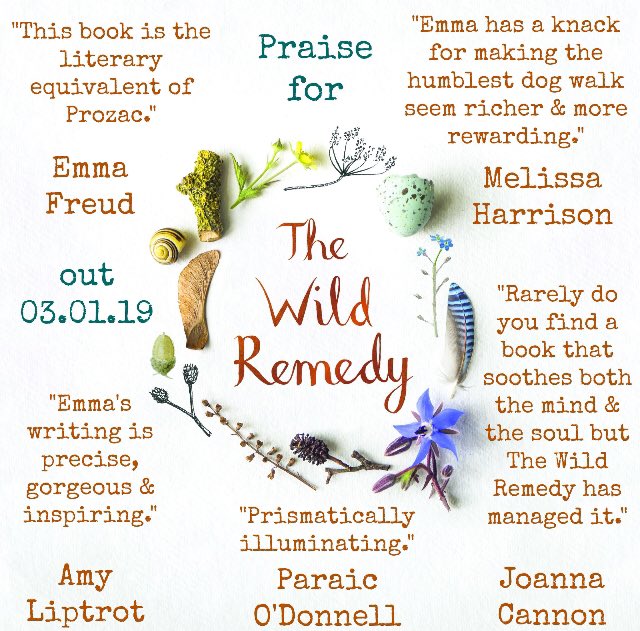 lialeendertz's tweet image. Lovely nature book bundle alert: @silverpebble’s wise and gentle ‘The Wild Remedy’ + her creative guide to winter ‘Making Winter’ + my ‘Almanac 2019’ = £21.59!
💫🌞🌙✨🌱🌸🌼🌻🌾🎨
#TheAlmanac #TheWildRemedy #MakingWInter 
amazon.co.uk/Wild-Remedy-Na…